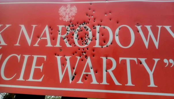 Park Narodowy Ujście Warty. Fot. Piotr Chara (11)