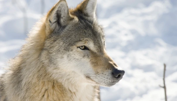 Fotolia_75148629_Subscription_Monthly_XL