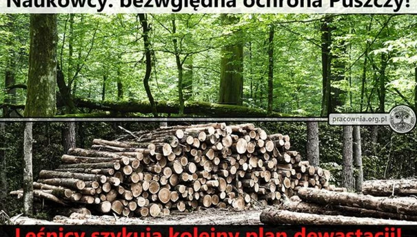 konferencja-forests-at-risk-674x440.jpg