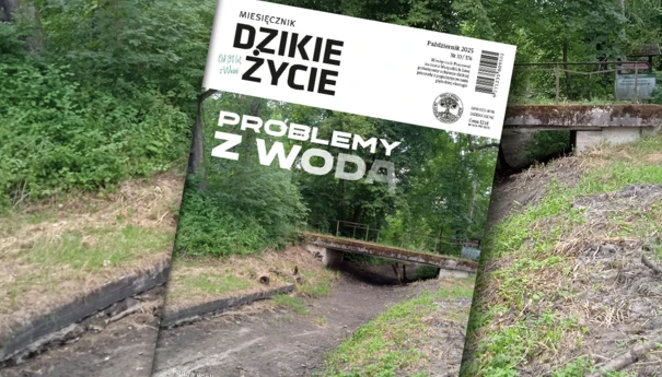 2025-10-www-dz_1200x800