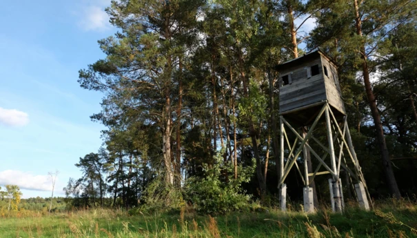 kolejna-smierc-na-polowaniu