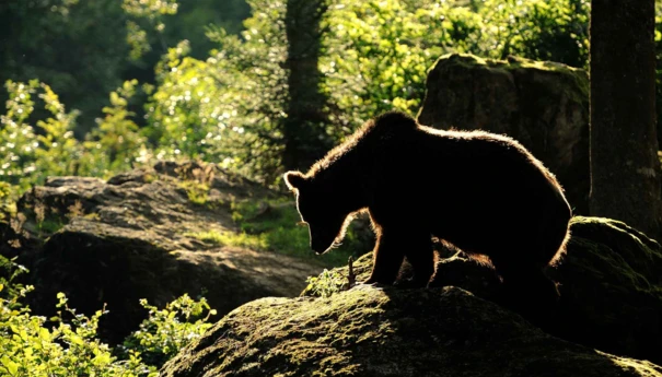 Zdjęcia na www (1924x1200)