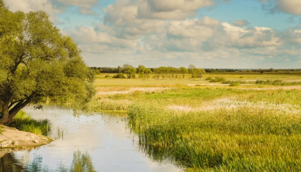 Rzeka Biebrza, Podlasie