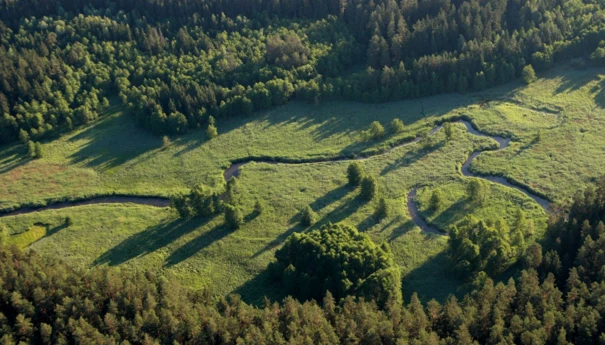 Rospuda-2007-Fot.Piotr-Fiedorowicz