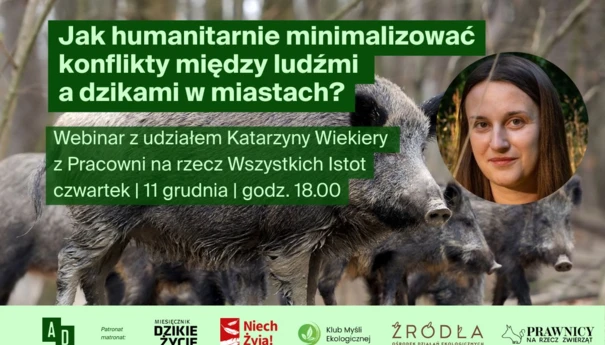 Katarzyna-Wiekiera-webinar-dziki-1200x800