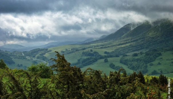 Bieszczady-droga-wojewodzka-897-fot-Alan-Weiss