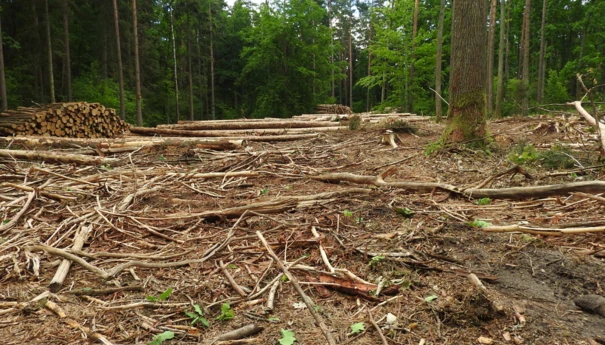 Zdjęcie na stronę www Pracowni (8)