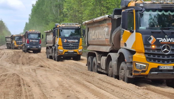 Puszcza Białowieska droga 687