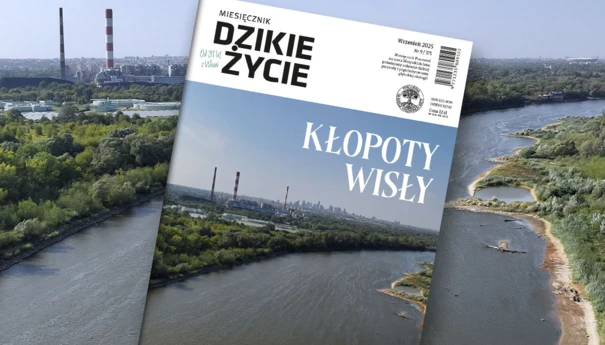 2025-09-www-dz_1200x800