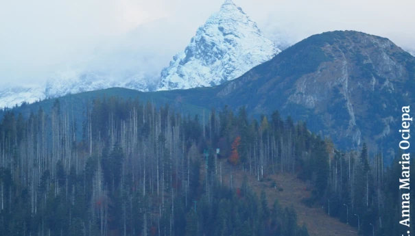 Nosal-fot-Anna-Maria-Ociepa