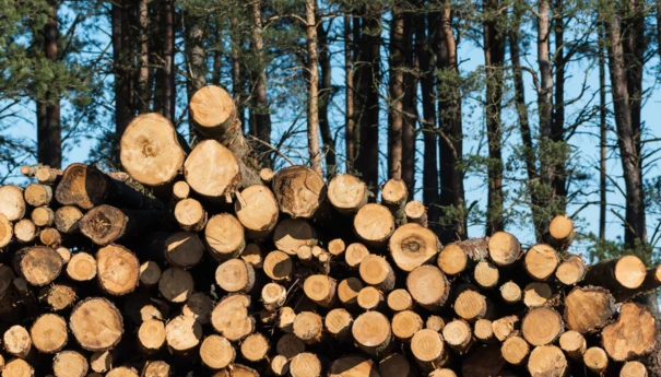 Zdjęcie na stronę www Pracowni (2)