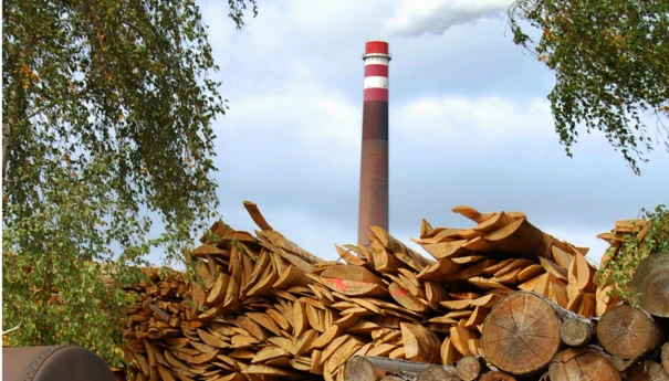 biomasa-drzewna-w-energetyce