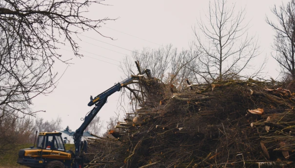 Wycinka zieleni w związku z budową gazociągu warszawskiego