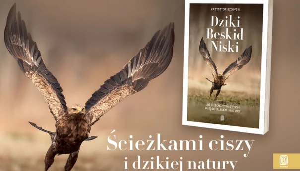 Dziki-Beskid-Niski-1200x800