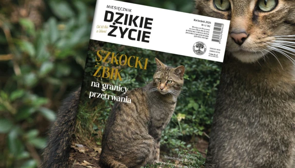 2026-04-www-dz_1200x800