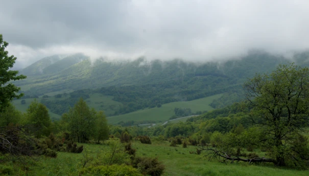 Bieszczady Przełęcz Wyżna Fot. Alan Weiss