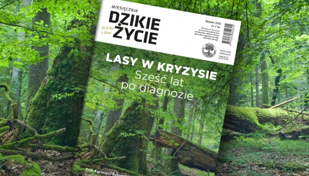 2026-03-www-dz_1200x800