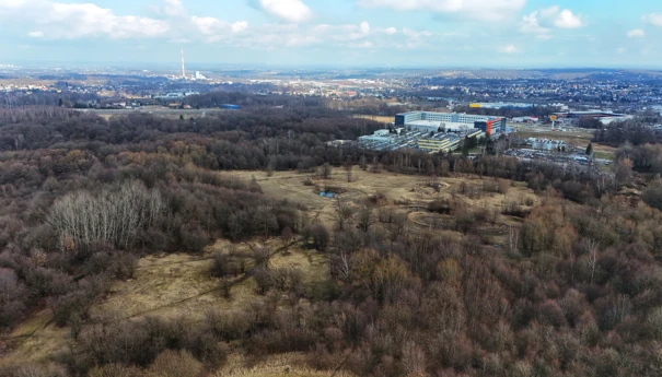 sarni-stok-dominik-folta