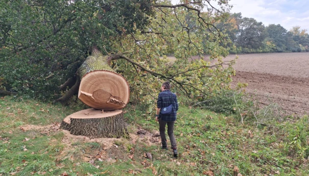 Fot. Paweł Kisiel (2)