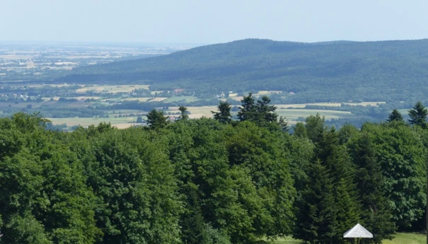 Widok z Łyśca na Góry Świętokrzyskie. Obszar ochrony krajobrazowej Świętokrzyskiego Parku Narodowego. Fot. Łukasz Misiuna