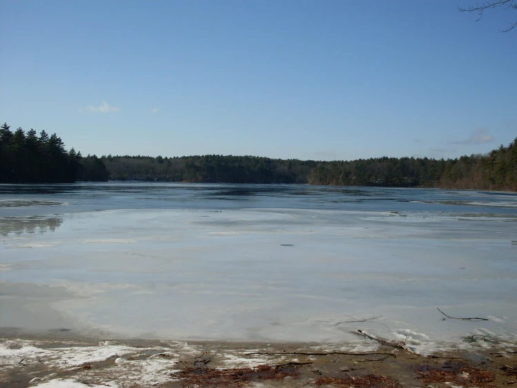 Widok na jezioro, styczeń 2012 r. Fot. Anna Patejuk