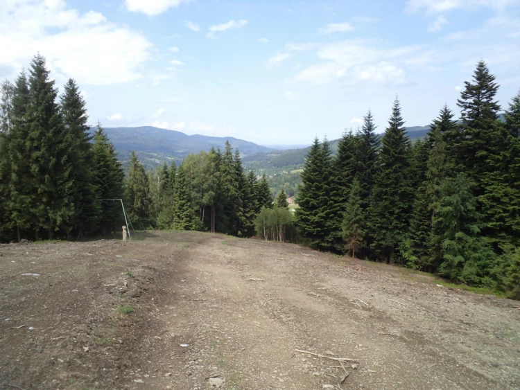 Ok. 1,5 ha lasu wycięto nielegalnie w rejonie góry Stożek Breński nieopodal przysiółka Kisiałka...