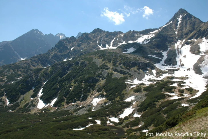 Tatry