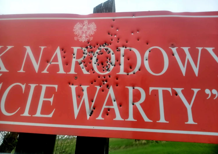 Park Narodowy Ujście Warty. Fot. Piotr Chara (11)