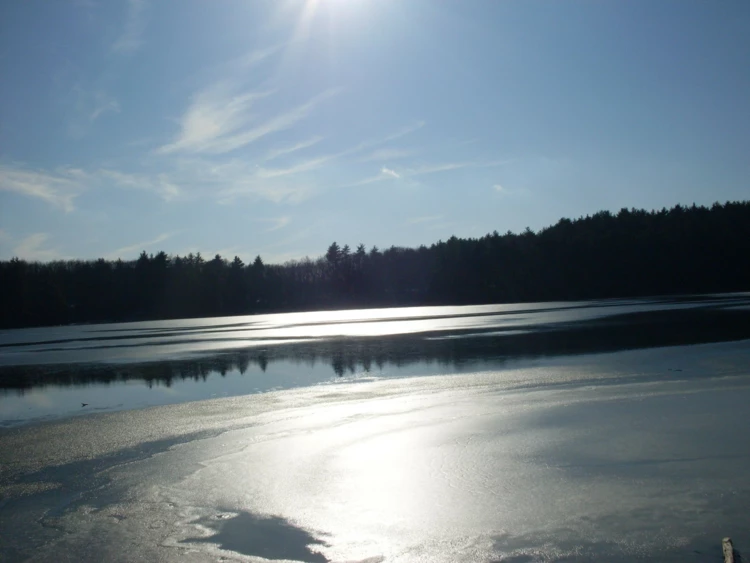 Widok na jezioro Walden, styczeń 2012 r. Fot. Anna Patejuk
