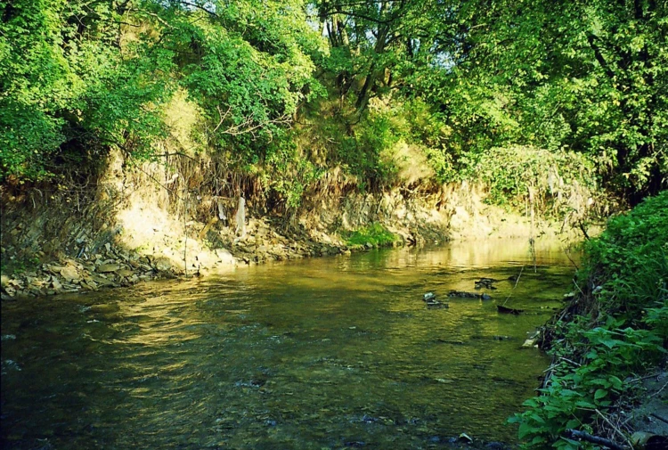 Lubatowka-Krosno-Fot.Grzegorz-Bozek