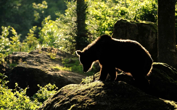 Zdjęcia na www (1924x1200)