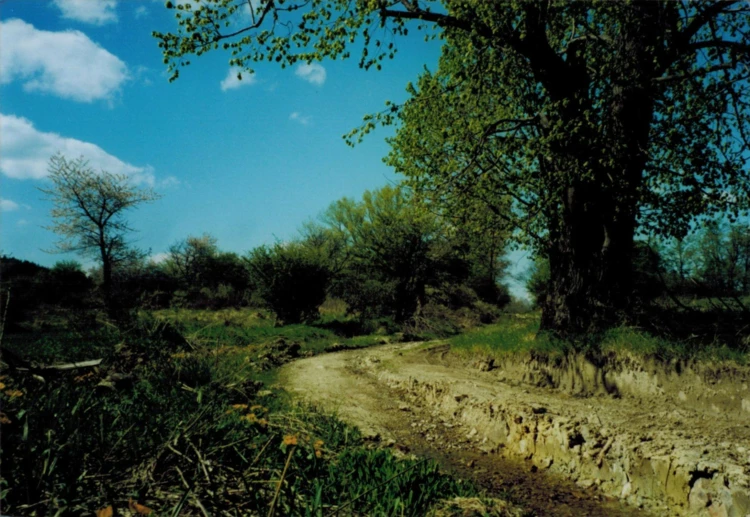 Droga od Paprotna w stronę Sopotnika, lata 90. Fot. Grzegorz Bożek
