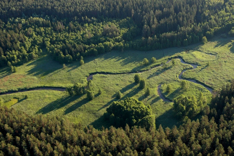 Rospuda-2007-Fot.Piotr-Fiedorowicz