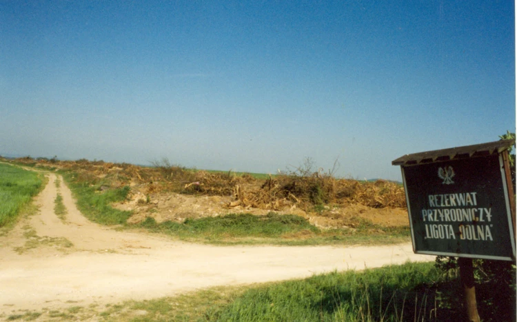 Rezerwat przyrodniczy Ligota Dolna, Góra św. Anny, maj 1998