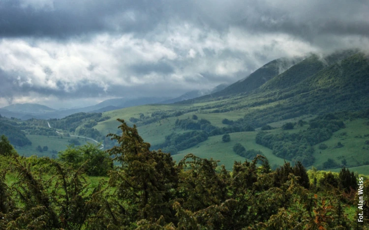 Bieszczady-droga-wojewodzka-897-fot-Alan-Weiss