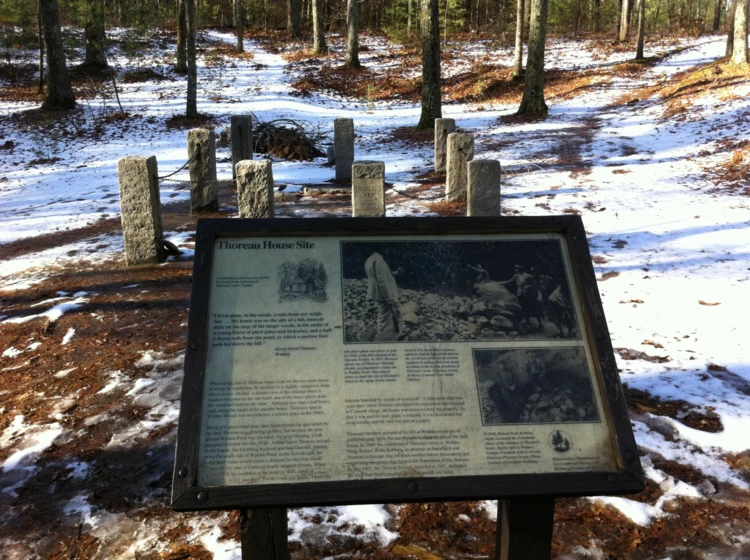 Pamiątkowa tablica obok miejsca gdzie pierwotnie znajdowała się chata Thoreau. Fot. Anna Patejuk