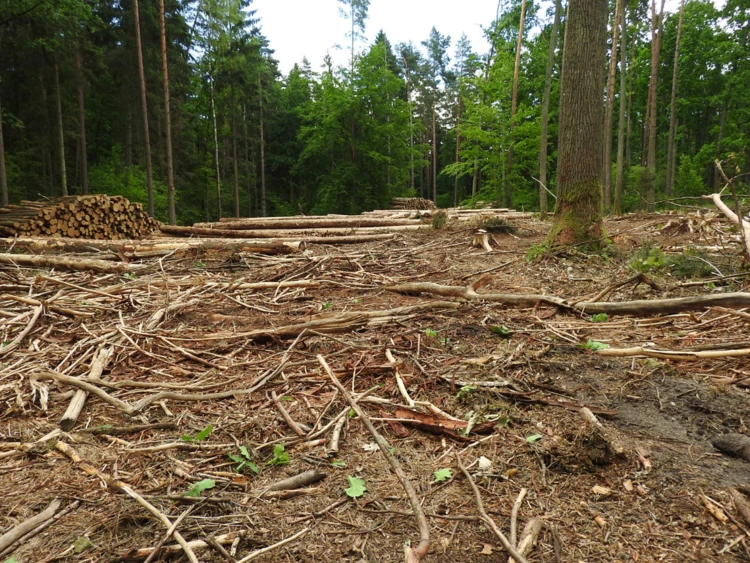 Zdjęcie na stronę www Pracowni (8)