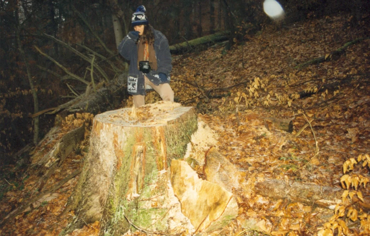 Rezerwat Turnica – serce projektowanego parku narodowego. Listopad 1995