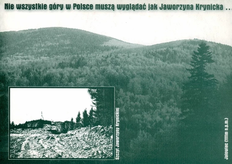 Pocztówka Góry dla Natury, Jałowiec, Jaworzyna Krynicka, 1998