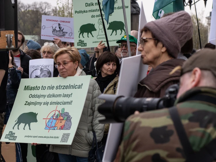 protest w obronie dzików, Warszawa 2026 r.