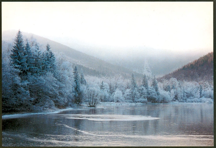 Pocztówka, Przyroda Bielsku-Białej. Fot. Marta Lelek. Zimowy widok na jezioro w Wapienicy. 2000