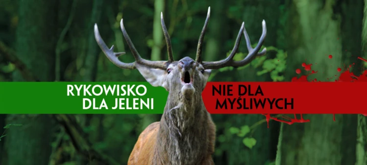 Rykowisko-dla-jeleni-slider_980x440